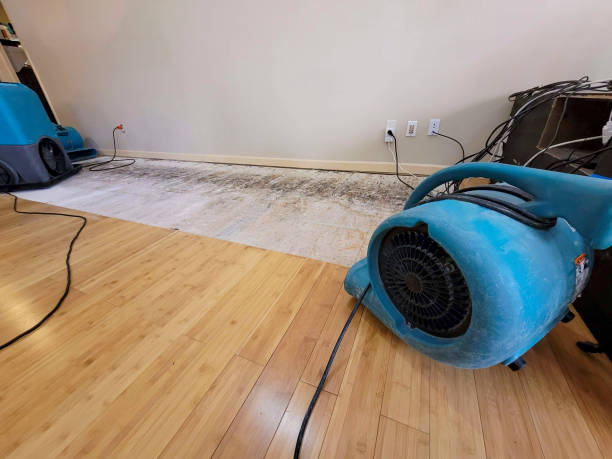 Professional Water Damage Repair technician working in Crest Hill, IL